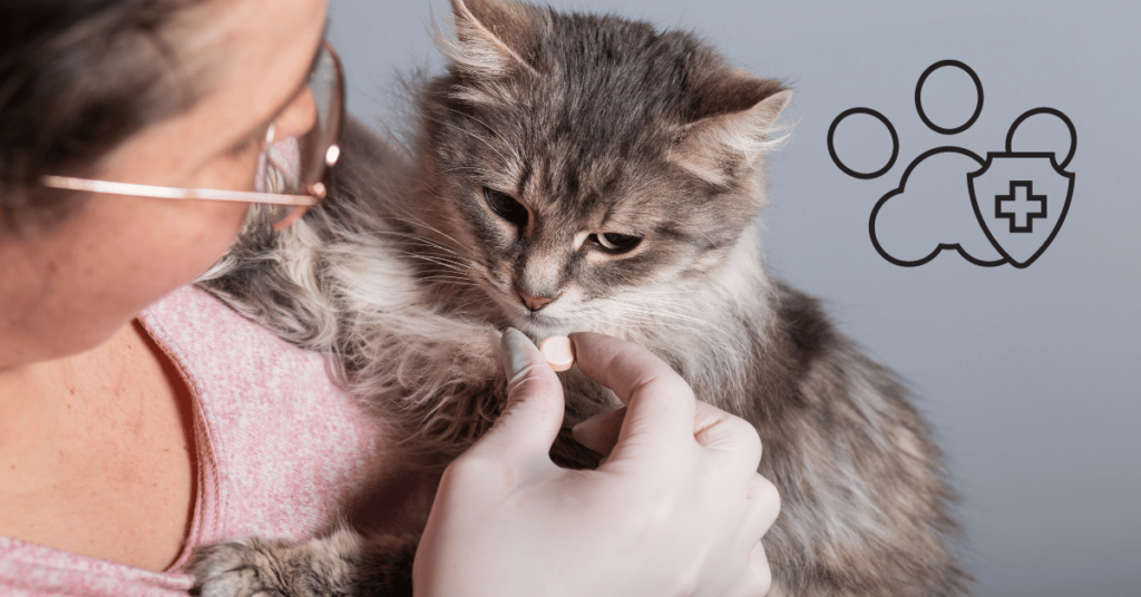 Benefits of Using CareCredit for Pets