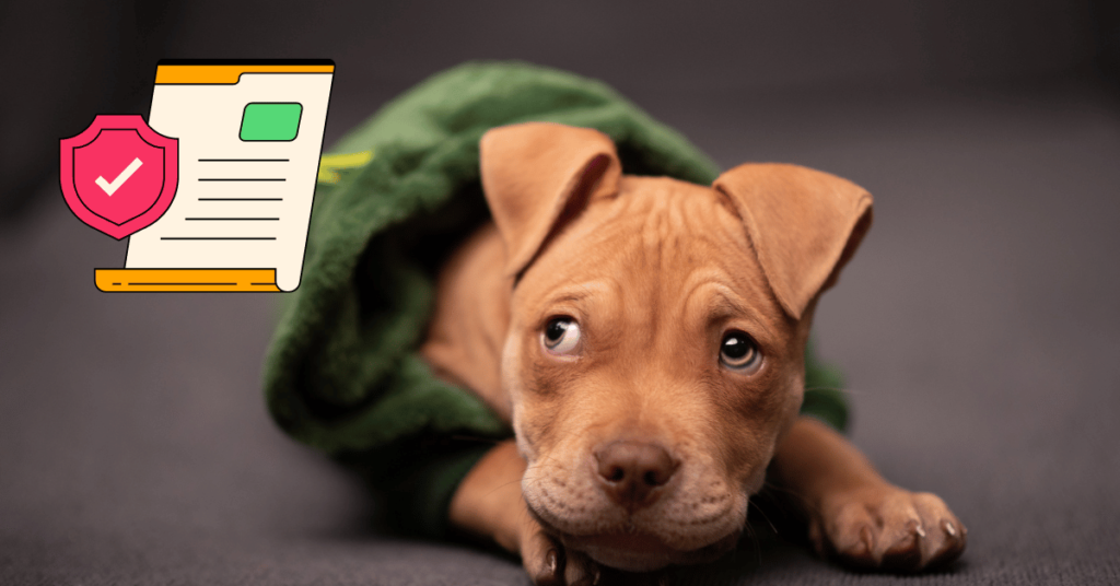 Common Exclusions in Pet Insurance Policies