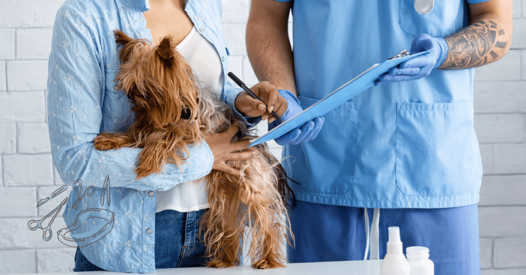 Does Pet Insurance Cover ACL Surgery