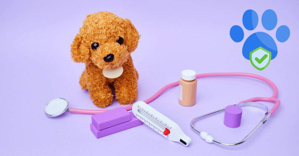 Factors That Affect Pet Insurance Coverage
