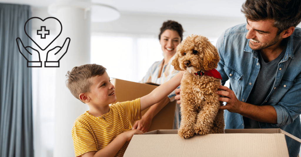 How Does Pet Insurance Work