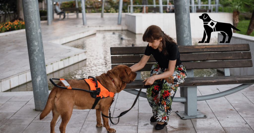 How Much Does It Cost to Maintain a Service Dog