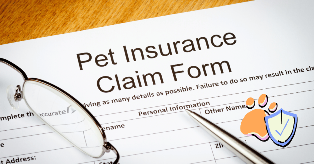 How To File a Pet Insurance Claim