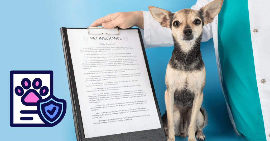 Is It Illegal to Buy Two Pet Insurance Policies for the Same Dog