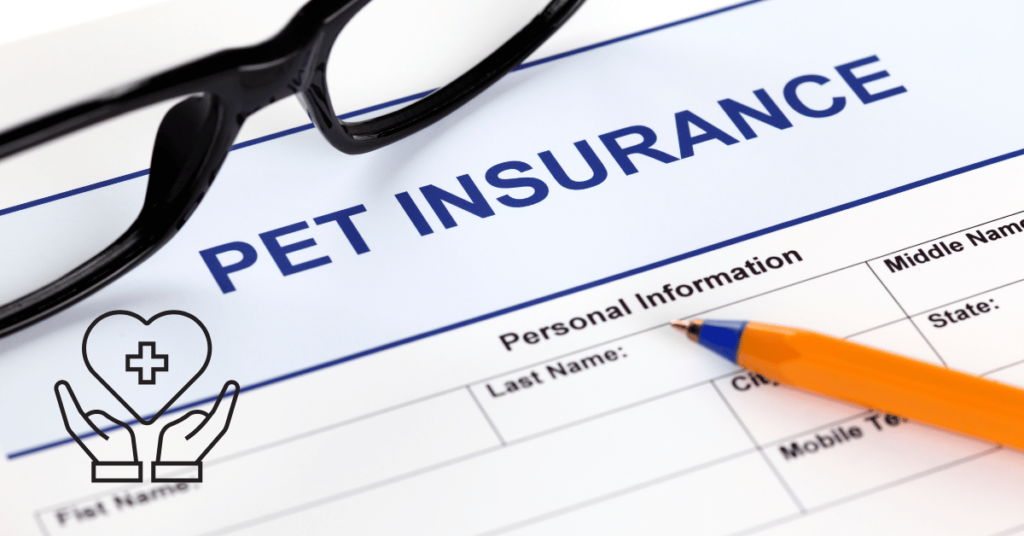 Is Pet Insurance Worth It