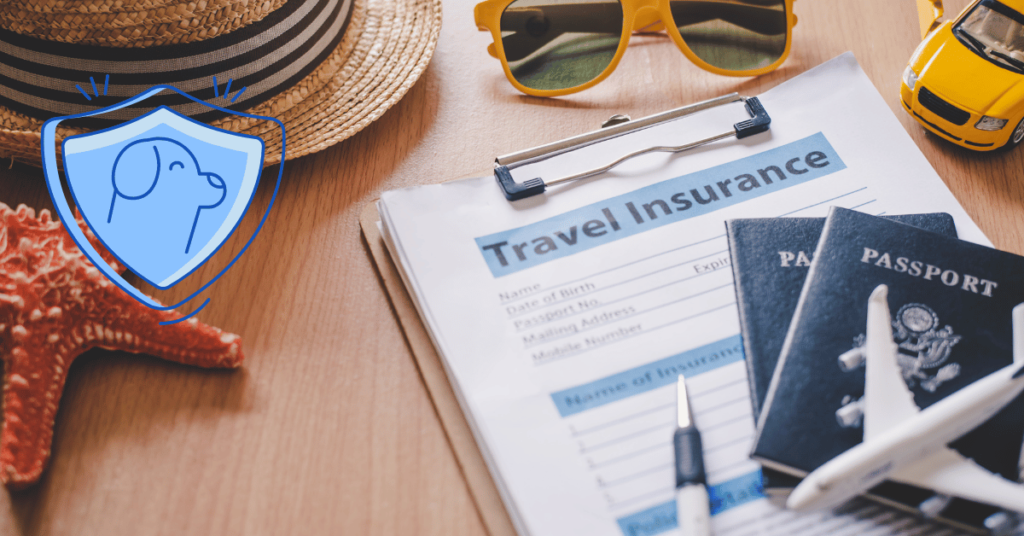 Is Pet Travel Insurance Worth It