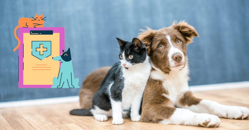 Most Affordable Pet Insurance