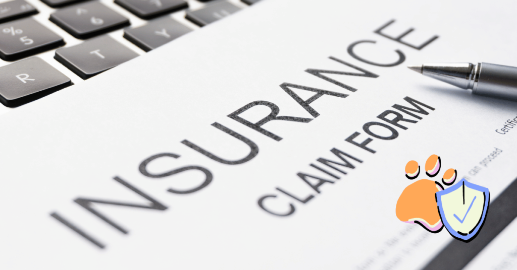 Obtain and Complete the Claim Form