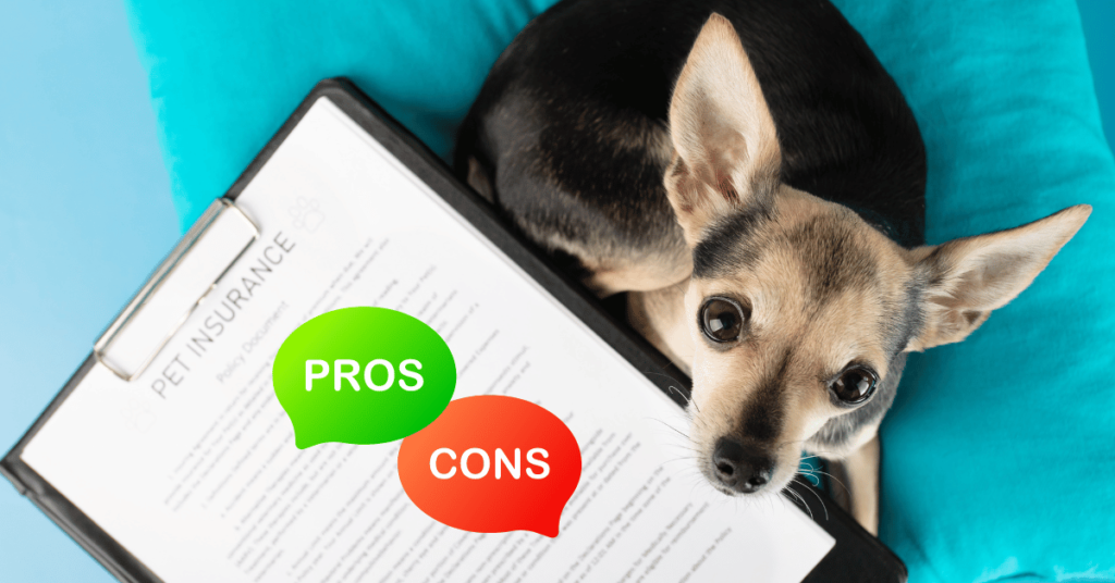 Pros and Cons of Pet Insurance