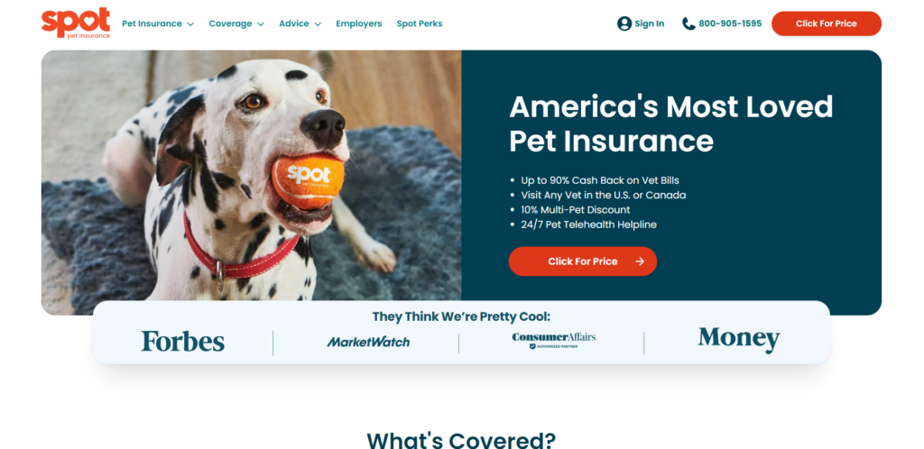 spot pet insurance