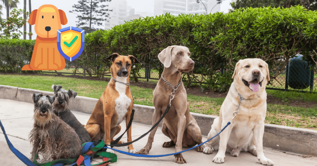 Top Dog Breeds That Need Insurance the Most
