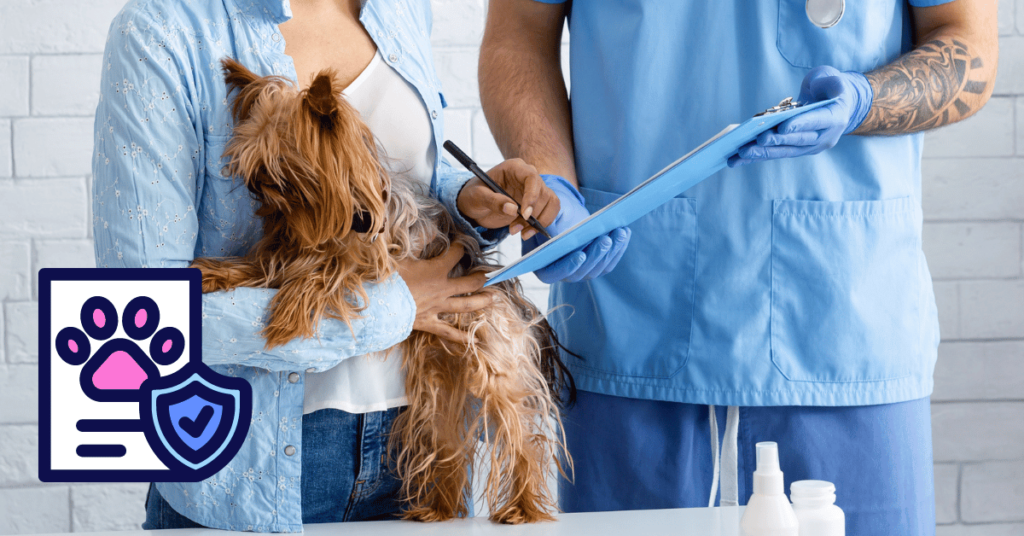dog insurance