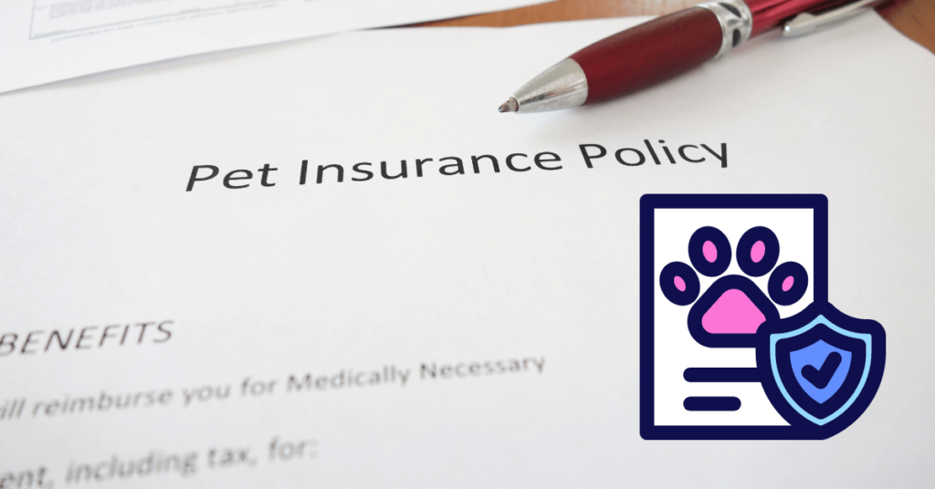 what is pet insurance